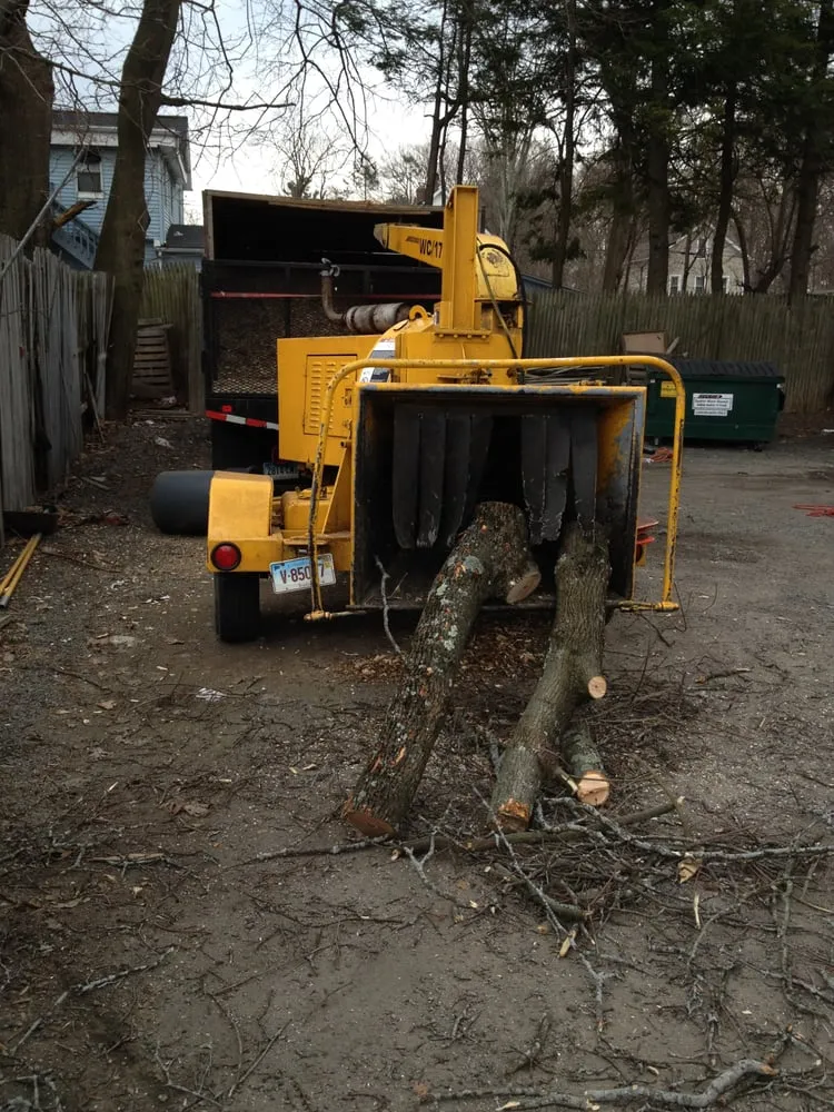 Trusted lawn care service experts serving Danbury, CT - Beaver Brook Tree Service