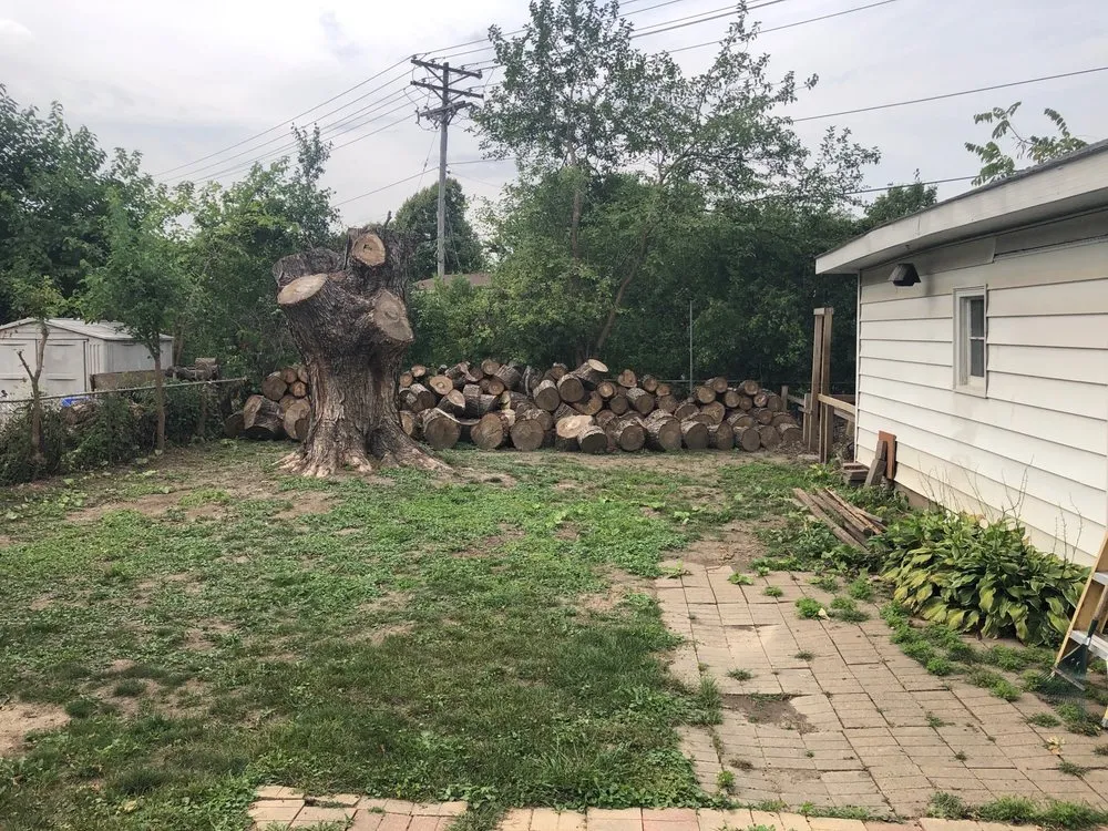 Trusted yard maintenance in Sun Prairie, WI - Beaver Bros Tree and Landscaping