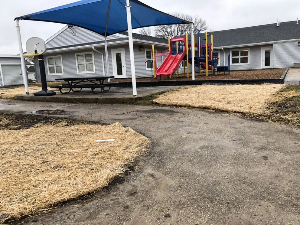 Local lawn care service for beautiful yards across Sun Prairie, WI - Beaver Bros Tree and Landscaping