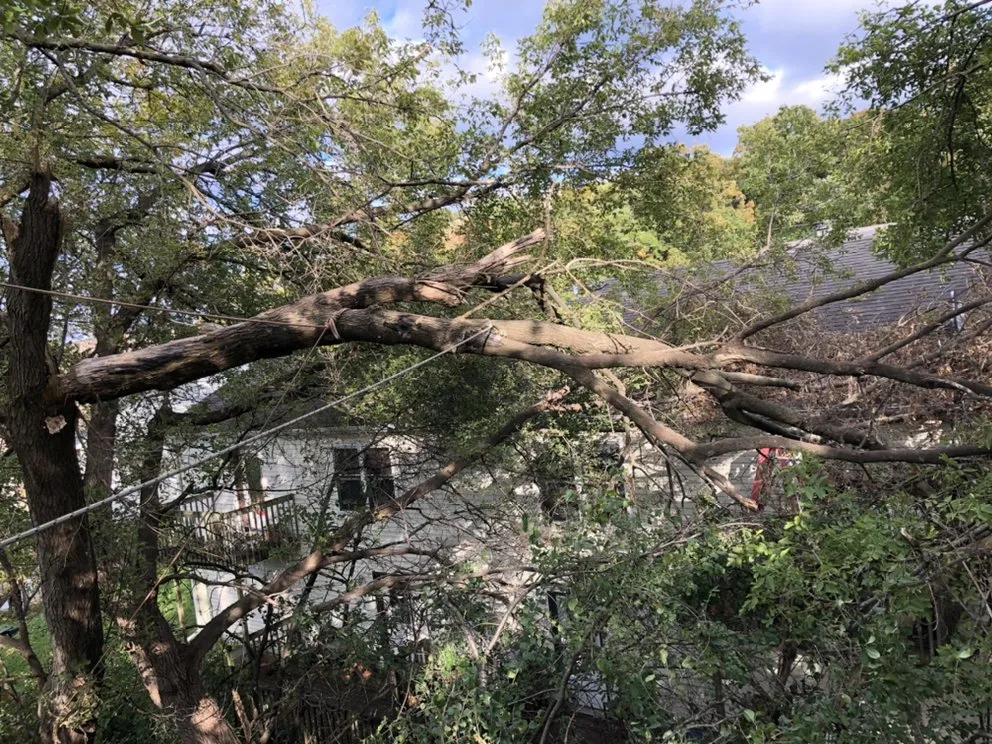 Reliable lawn mowing service experts serving Sun Prairie, WI - Beaver Bros Tree and Landscaping