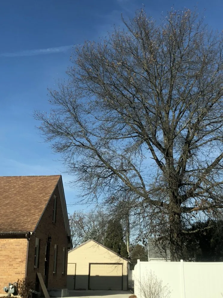 Professional landscape design in Sun Prairie, WI by Beaver Bros Tree and Landscaping