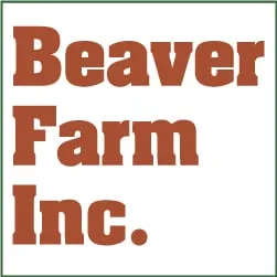 Trusted outdoor landscaping in Richmond, VA - Beaver Farm Landscaping