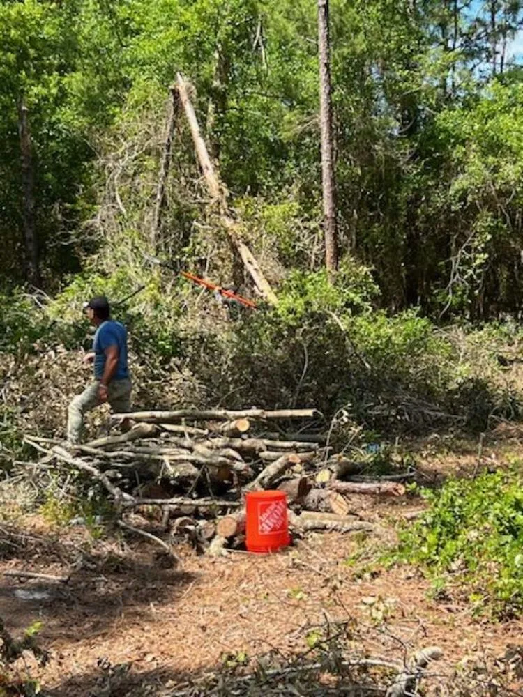 Expert yard maintenance experts serving Sanford, FL - Beaver Land Clearing