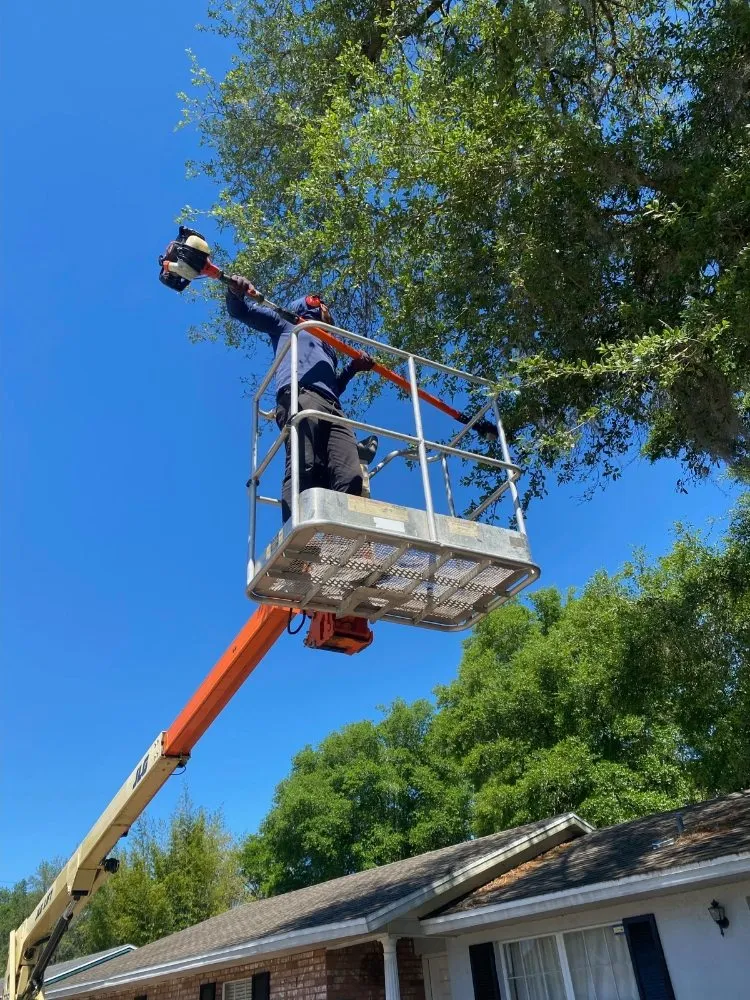 Affordable lawn mowing service experts serving Sanford, FL - Beaver Land Clearing