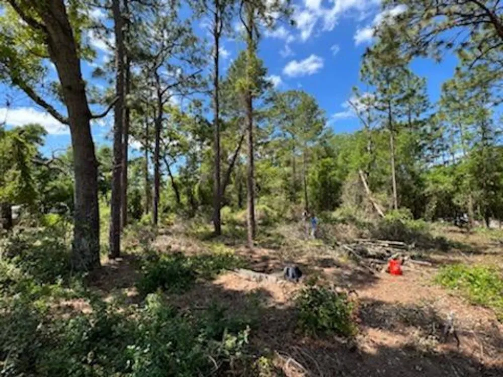 Professional garden landscaping with custom design across Sanford, FL - Beaver Land Clearing