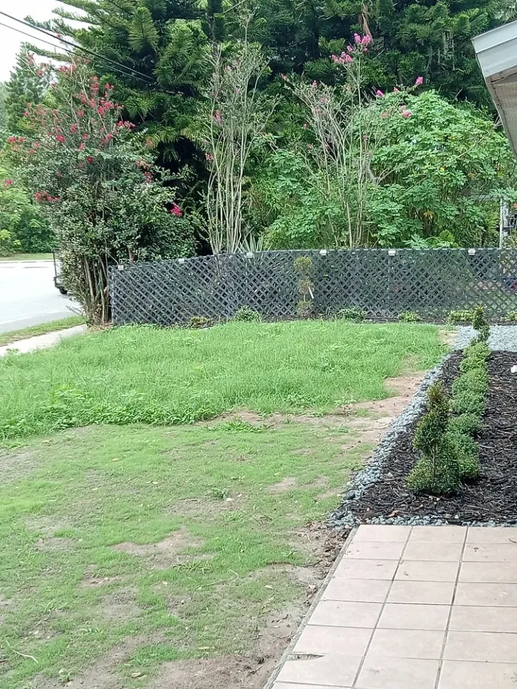 Custom yard cleanup service experts serving Sanford, FL - Beaver Land Clearing