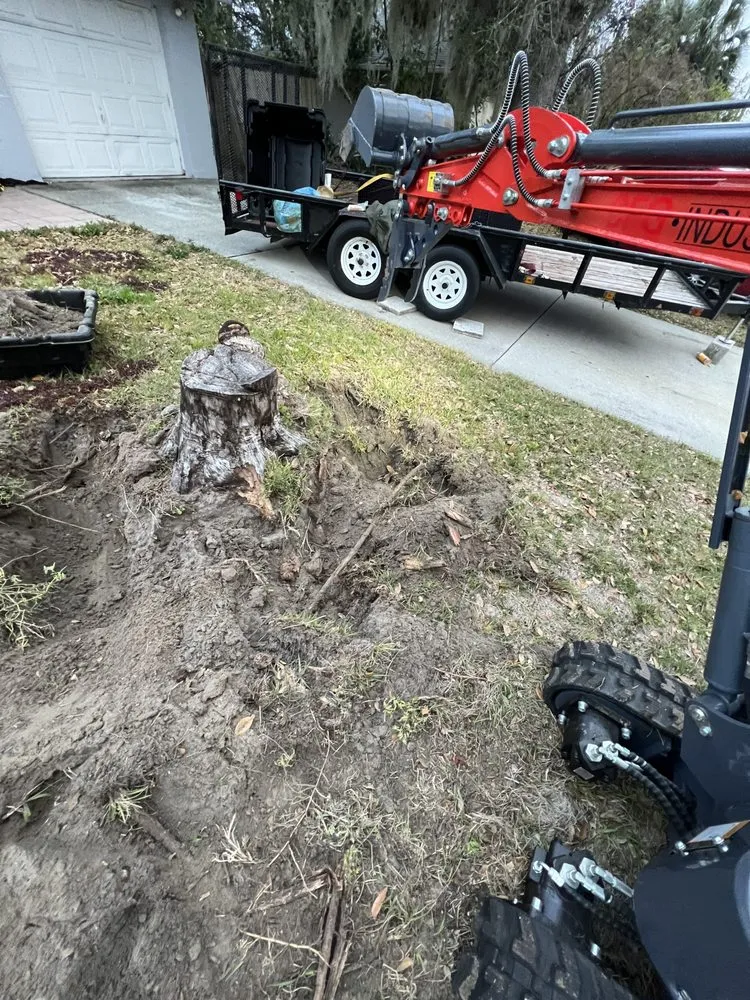 Reliable landscape design in Sanford, FL - Beaver Land Clearing