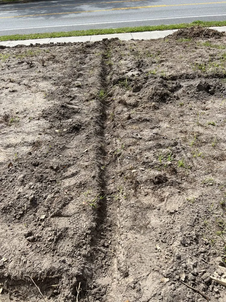 Custom landscaping services for outdoor upgrades in Sanford, FL by Beaver Land Clearing