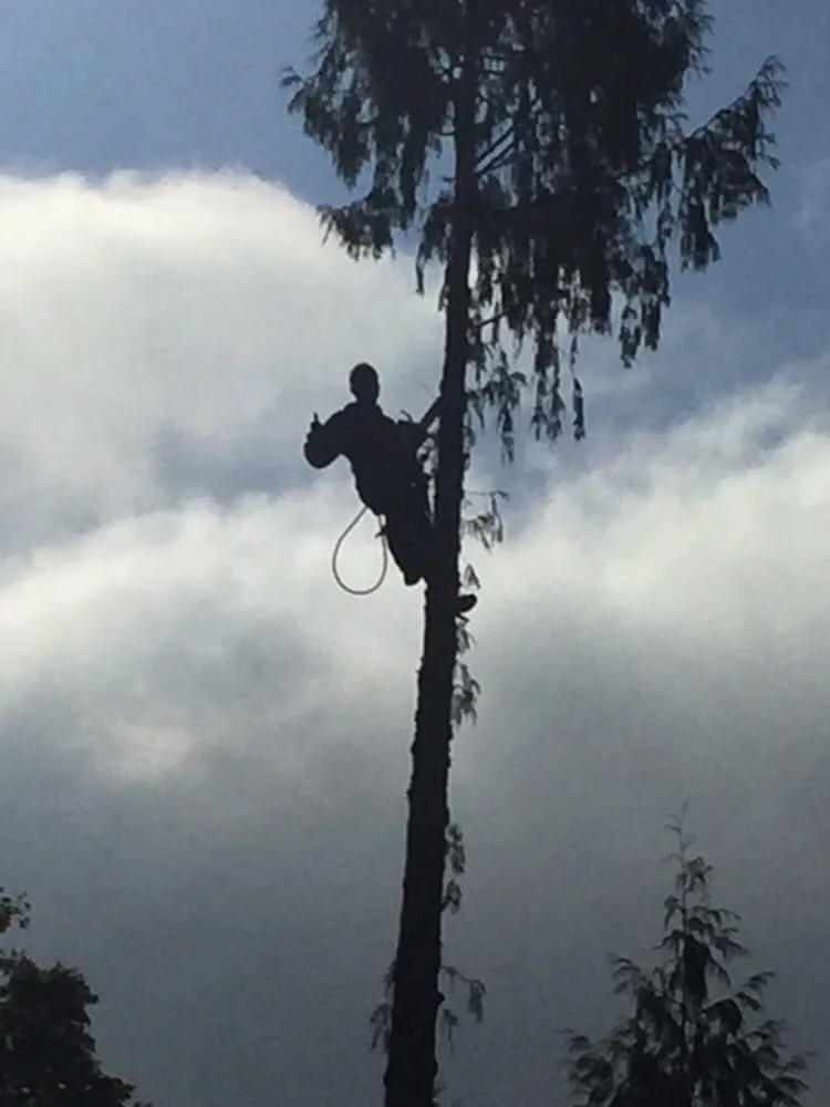Trusted landscape installation in Hillsboro, OR - Beaver Landscape