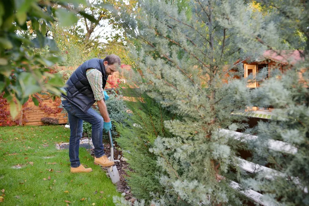 Affordable outdoor landscaping experts serving Beaver, PA - Beaver Landscaping Pro's