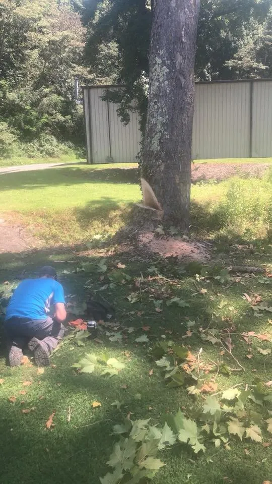 Expert lawn mowing service for year-round maintenance in Rockwood, TN by Beaver Patrol Tree and Landscaping