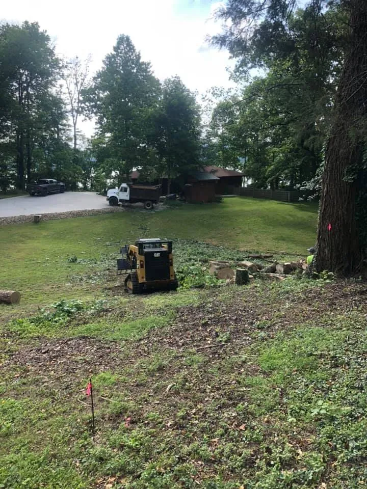 Trusted landscape installation with custom design across Rockwood, TN - Beaver Patrol Tree and Landscaping