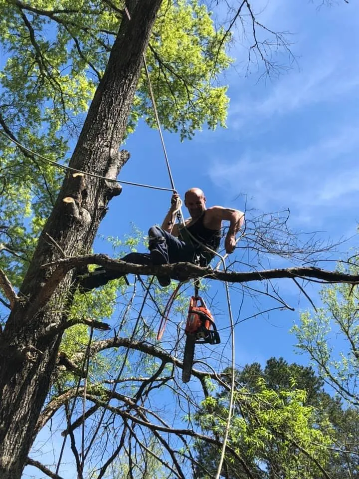 Custom landscaping services in Rockwood, TN - Beaver Patrol Tree and Landscaping
