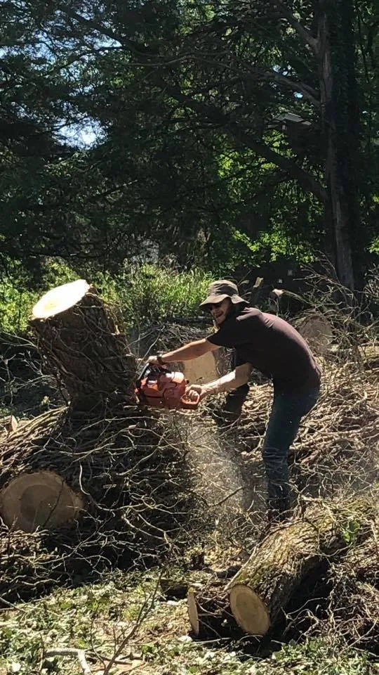 Reliable lawn mowing service in Rockwood, TN - Beaver Patrol Tree and Landscaping