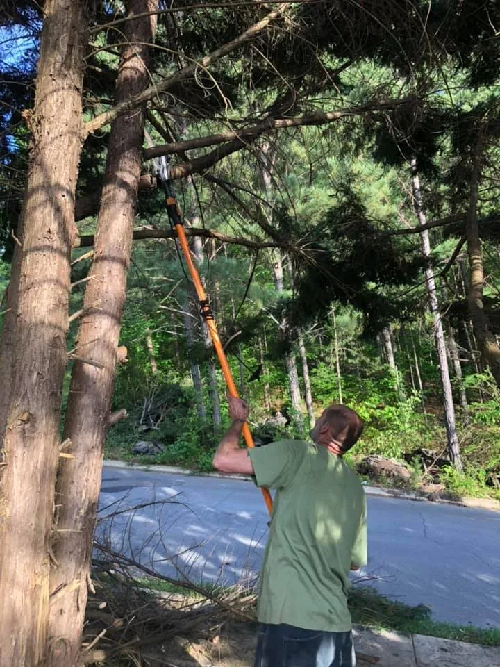 Expert landscape design with custom design across Rockwood, TN - Beaver Patrol Tree and Landscaping