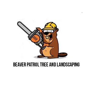Custom yard cleanup service experts serving Rockwood, TN - Beaver Patrol Tree and Landscaping
