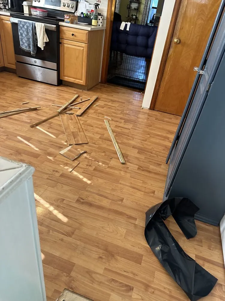 Top-rated outdoor landscaping for year-round maintenance in Troy, NY by Beaver precision build