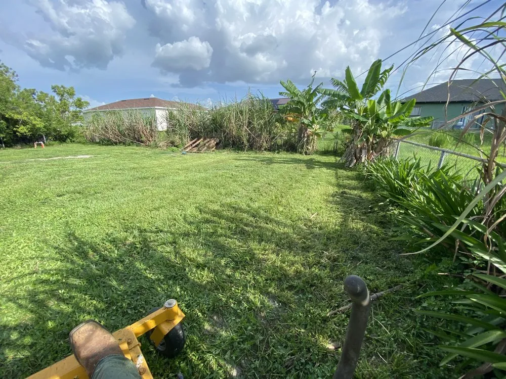Custom lawn mowing service in Miami, FL by Beaver Stump Grinding