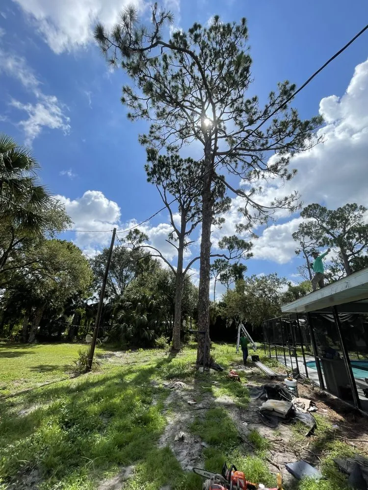 Expert garden landscaping in Miami, FL - Beaver Stump Grinding