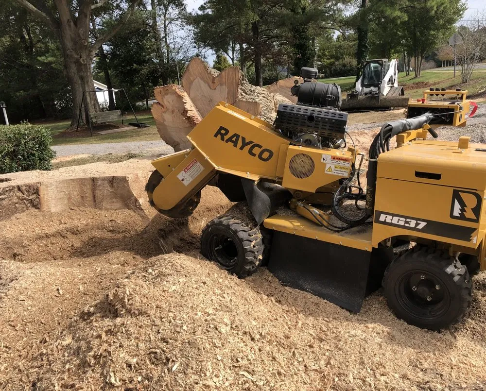 Top-rated landscaping services in Miami, FL - Beaver Stump Grinding