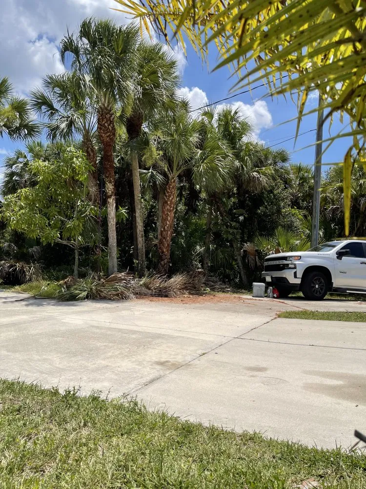 Professional landscape installation in Miami, FL by Beaver Stump Grinding