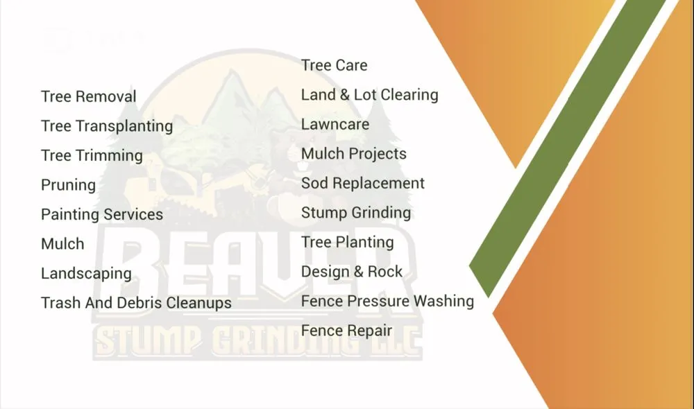Reliable yard cleanup service near you in Miami, FL by Beaver Stump Grinding