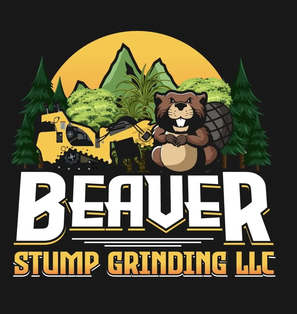 Custom garden landscaping experts serving Miami, FL - Beaver Stump Grinding