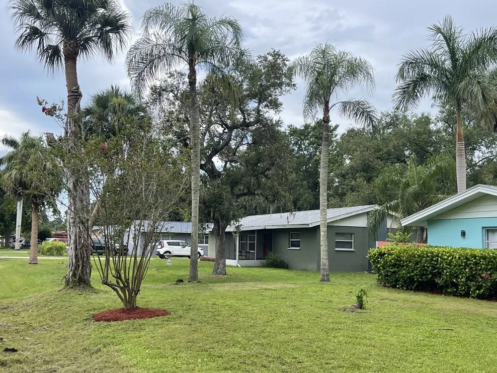 Top-rated lawn care service in Miami, FL - Beaver Stump Grinding