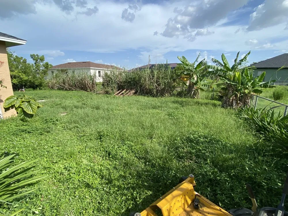 Expert residential landscaping in Miami, FL - Beaver Stump Grinding