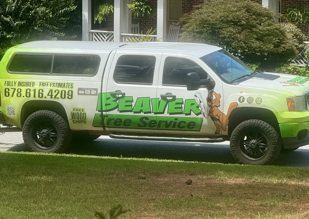 Reliable lawn care service in Carrollton, GA - Beaver Tree Service