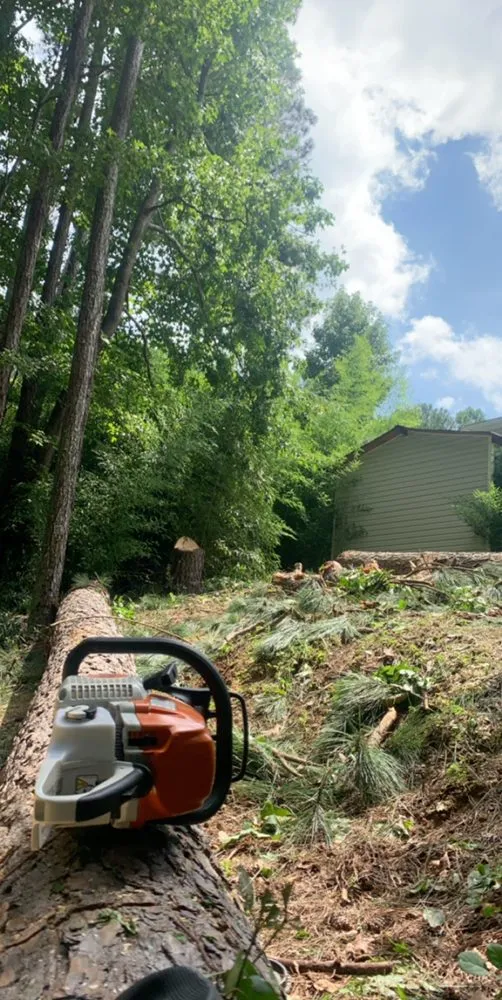 Local garden landscaping experts serving Carrollton, GA - Beaver Tree Service