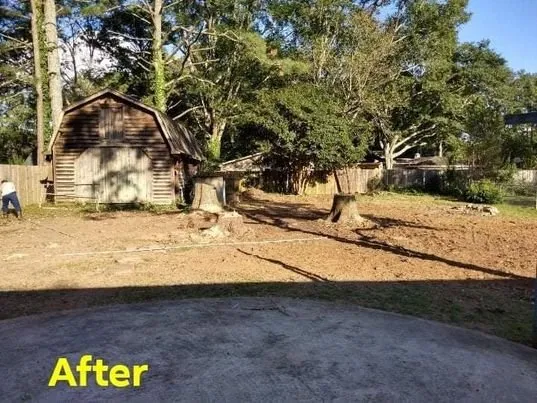 Top-rated landscape design in Carrollton, GA - Beaver Tree Service