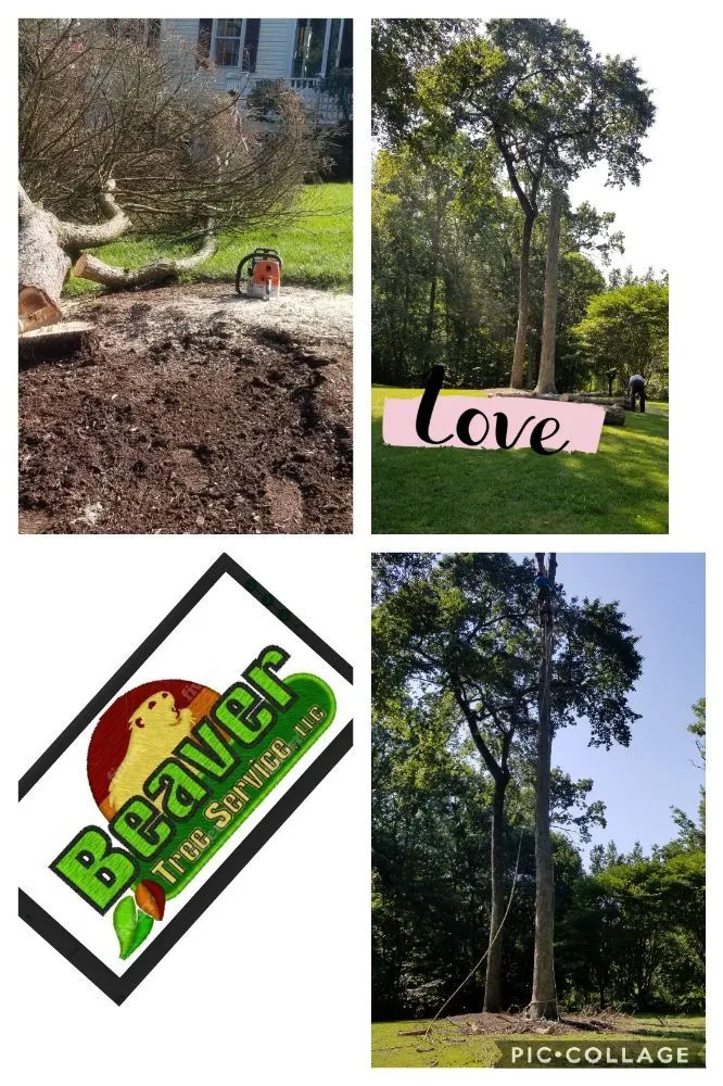 Reliable outdoor landscaping for year-round maintenance across Front Royal, VA - Beaver Tree Service