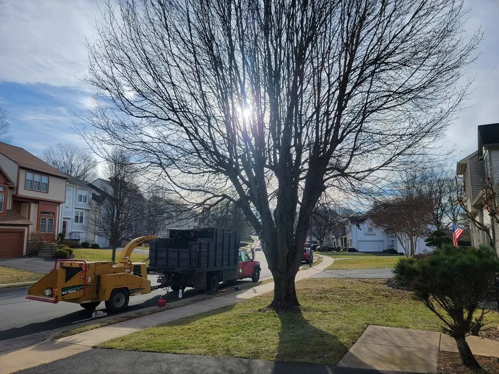 Trusted lawn mowing service in Front Royal, VA by Beaver Tree Service