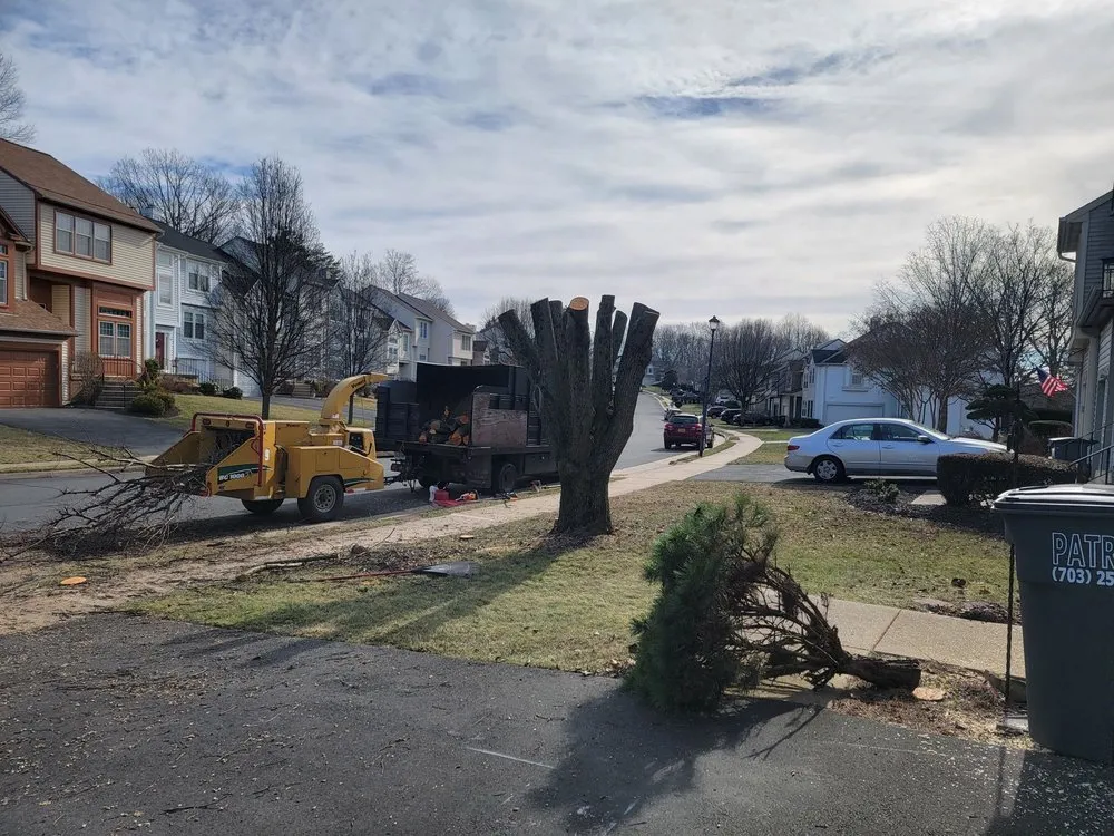 Affordable residential landscaping in Front Royal, VA by Beaver Tree Service
