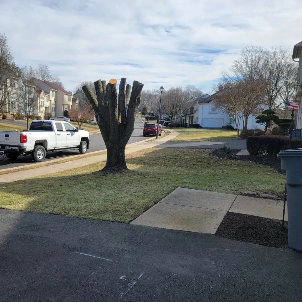Local yard maintenance in Front Royal, VA - Beaver Tree Service