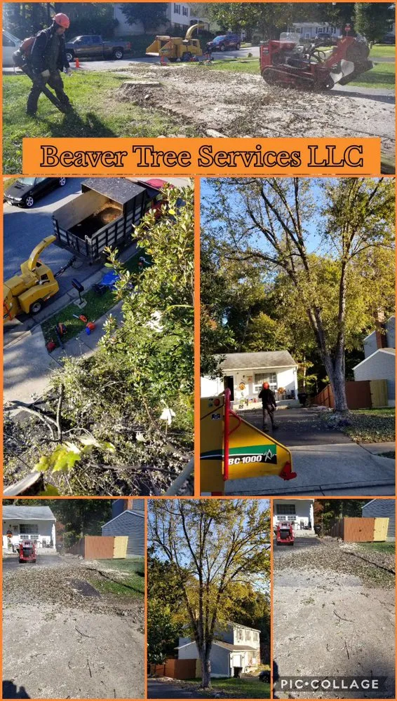 Trusted yard maintenance in Front Royal, VA by Beaver Tree Service