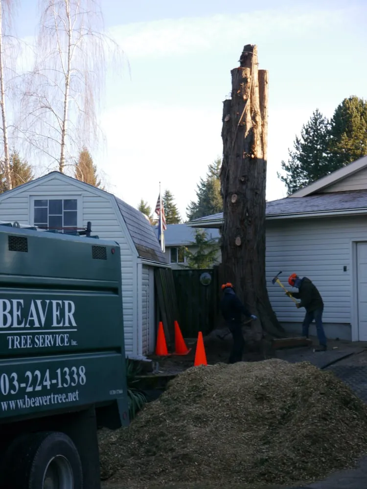 Trusted lawn mowing service in Cornelius, OR - Beaver Tree Service Inc