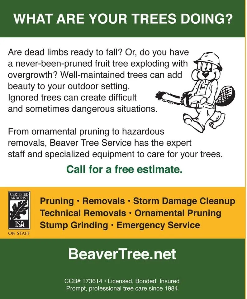 Expert residential landscaping in Cornelius, OR by Beaver Tree Service Inc