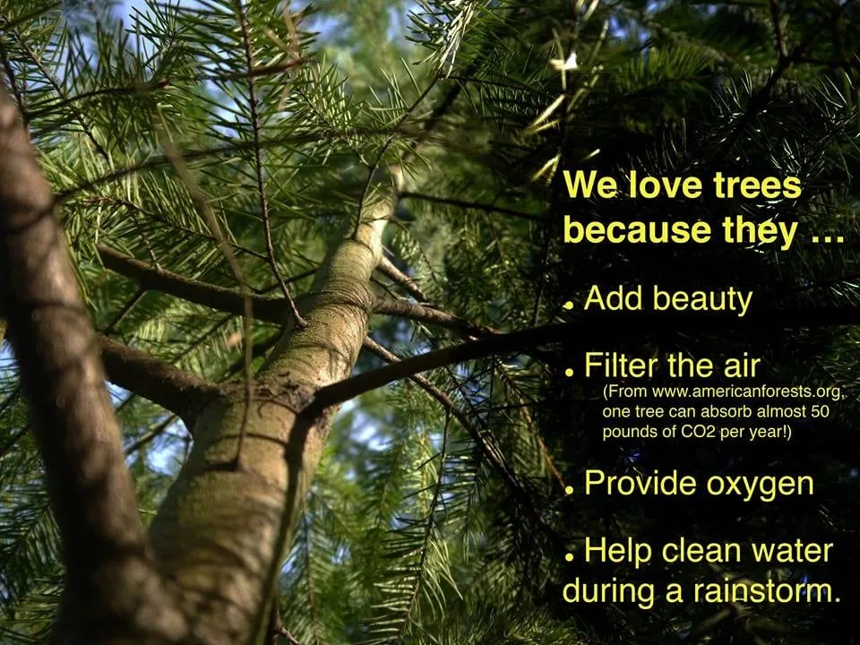 Professional residential landscaping in Cornelius, OR - Beaver Tree Service Inc