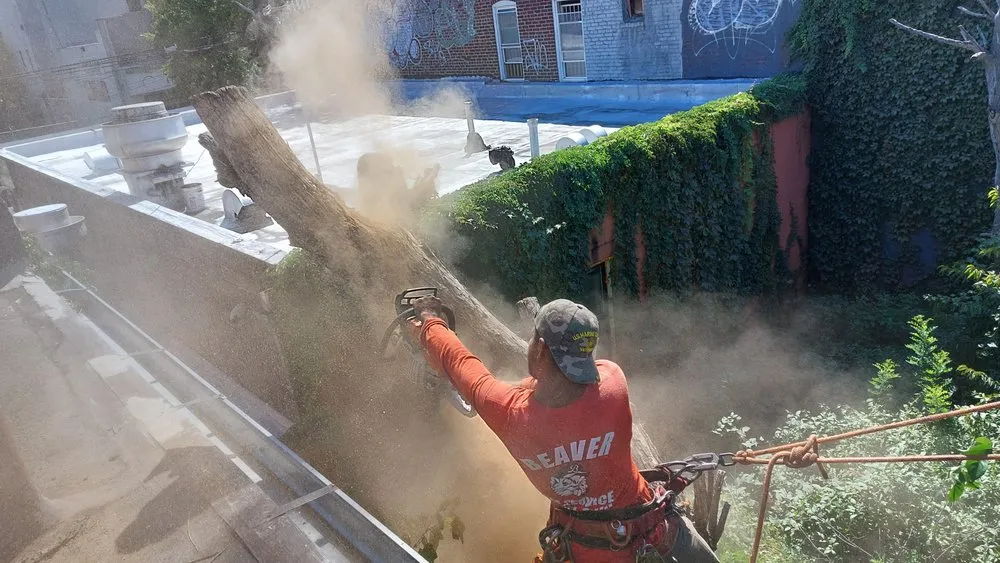 Reliable residential landscaping in Glen Cove, NY by Beaver Tree Services