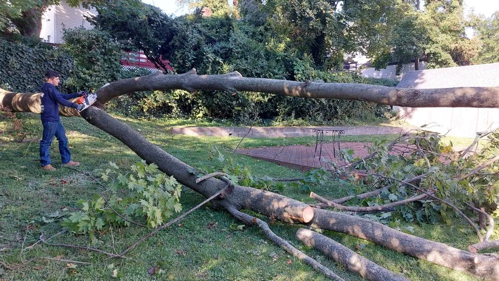 Local garden landscaping in Glen Cove, NY - Beaver Tree Services