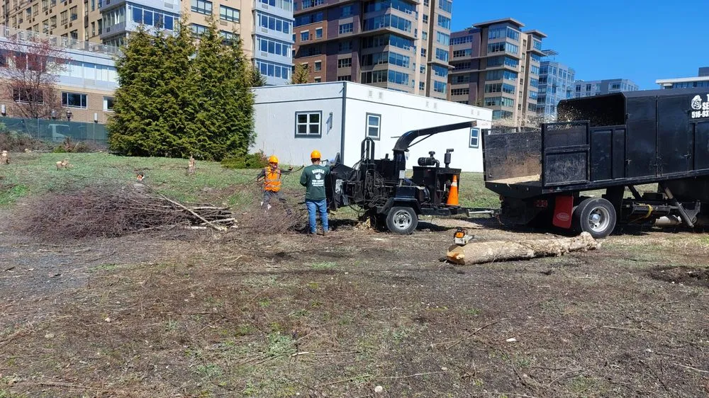 Affordable yard cleanup service for homes in Glen Cove, NY by Beaver Tree Services