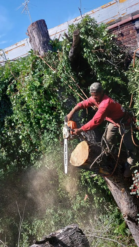 Local landscape installation in Glen Cove, NY - Beaver Tree Services