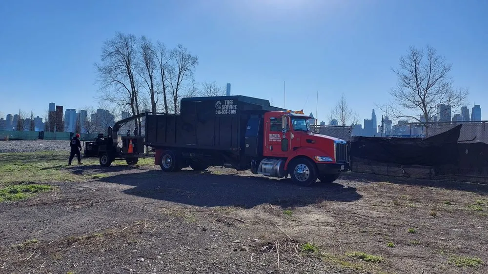 Reliable lawn mowing service experts serving Glen Cove, NY - Beaver Tree Services