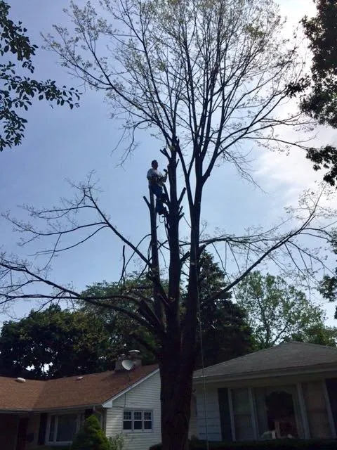 Reliable garden landscaping in Warrenville, IL - Beaver Tree Specialists