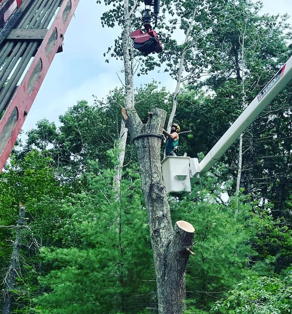 Reliable landscape design in Lakeville, MA - Beaver Tree Works