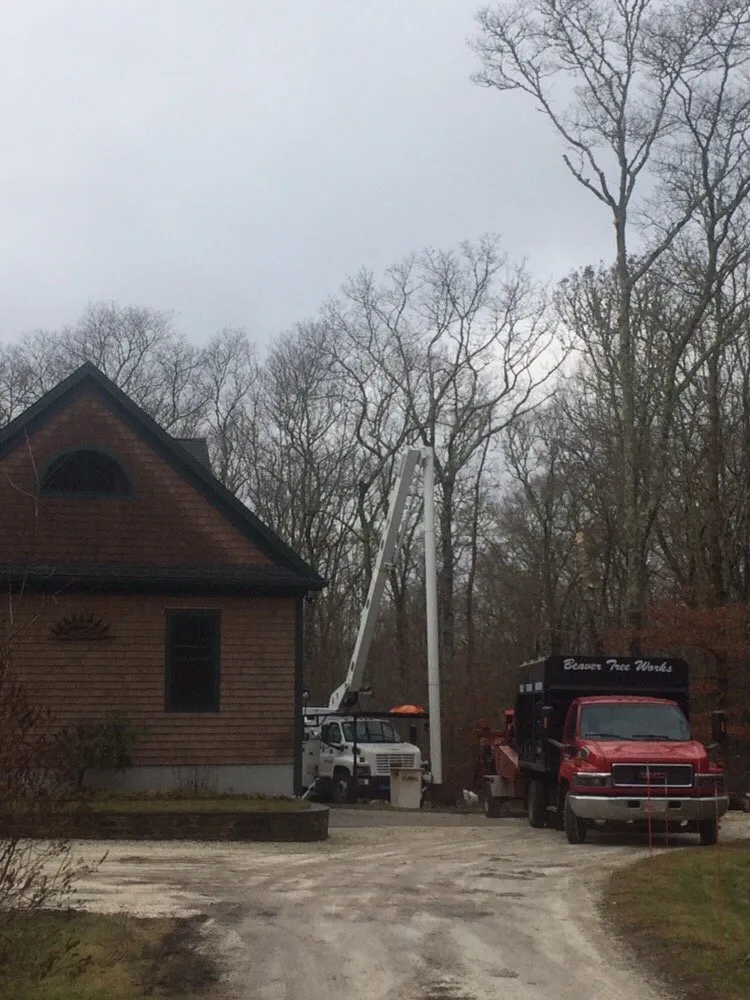 Trusted lawn care service experts serving Lakeville, MA - Beaver Tree Works