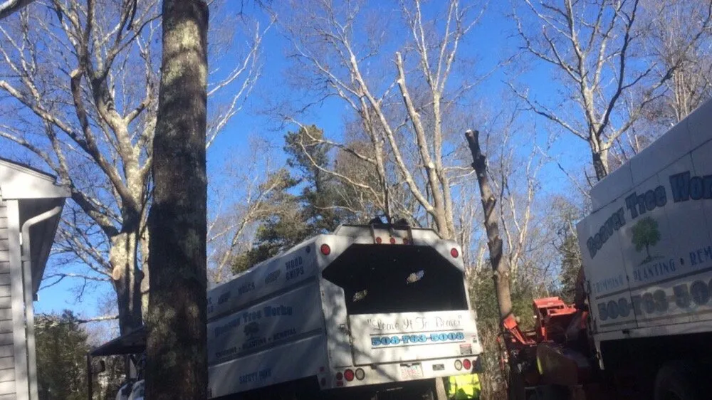 Affordable lawn mowing service in Lakeville, MA - Beaver Tree Works