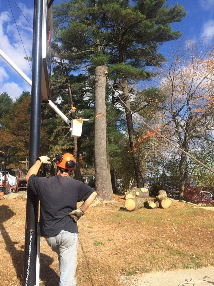 Expert residential landscaping in Lakeville, MA - Beaver Tree Works